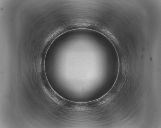 X0000086220490200703291215