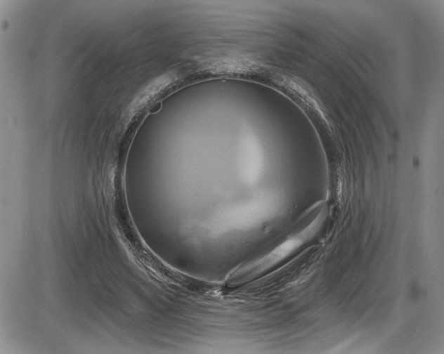 X0000086220491200703291215