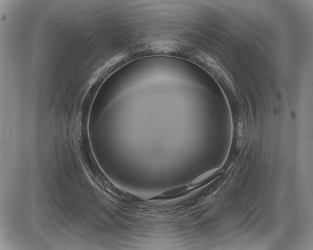 X0000086220492200703291215