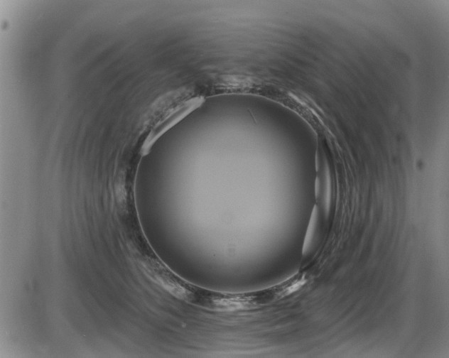 X0000086220516200703291215