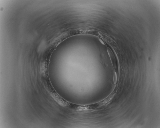 X0000086220519200703291215
