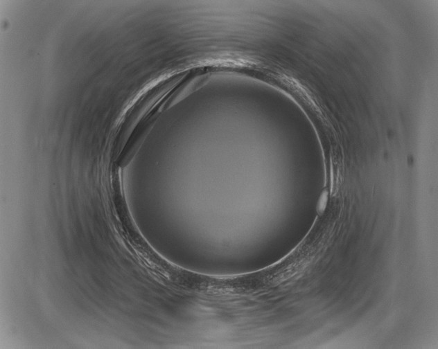 X0000086220531200703291214