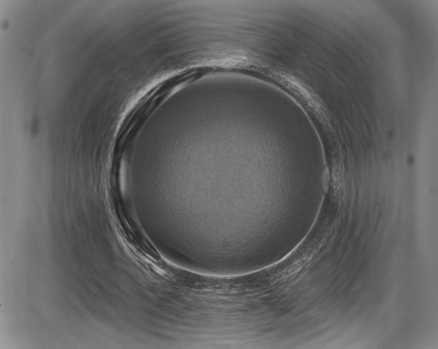 X0000086220532200703291214