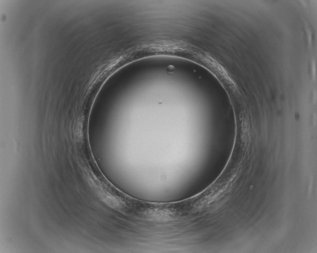 X0000086220537200703291214