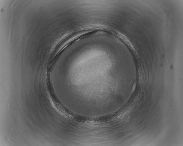 X0000086220538200703291214