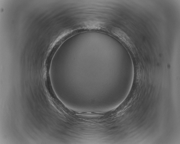 X0000086220584200703291214