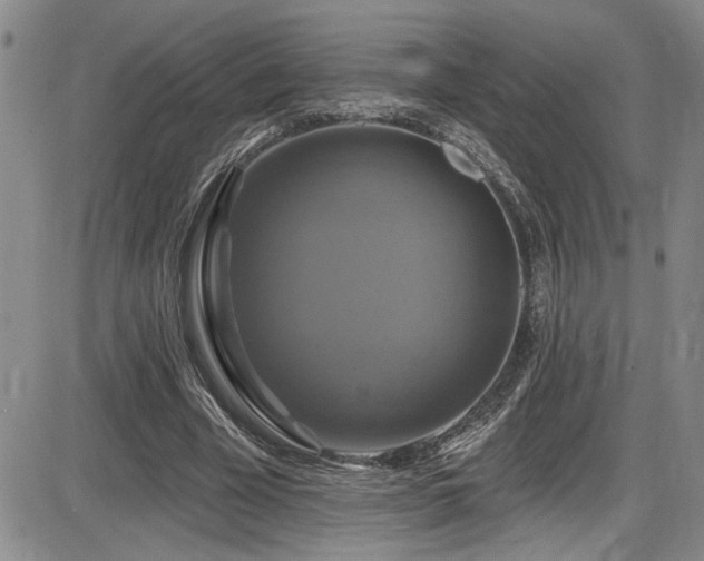 X0000086220585200703291214