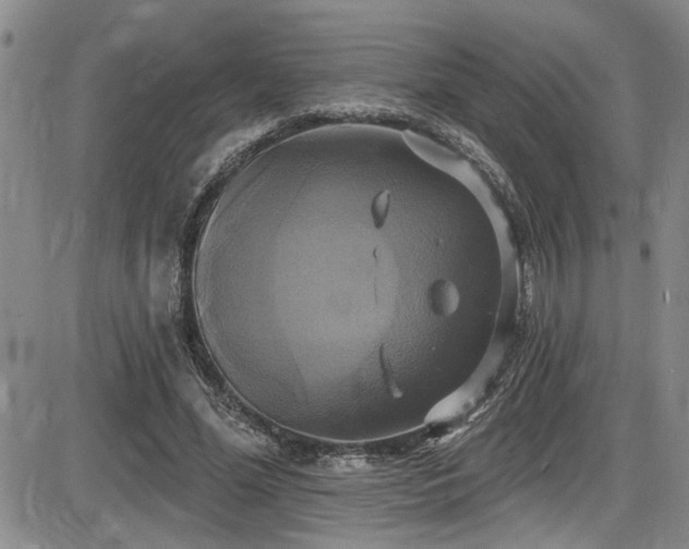 X0000086220588200703291214