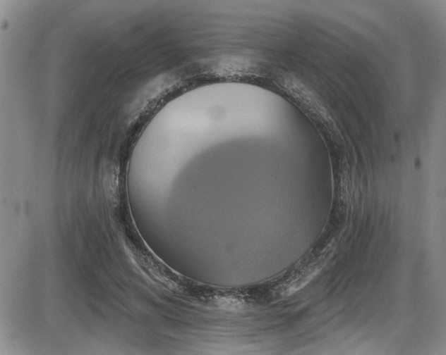 X0000086220592200703291214