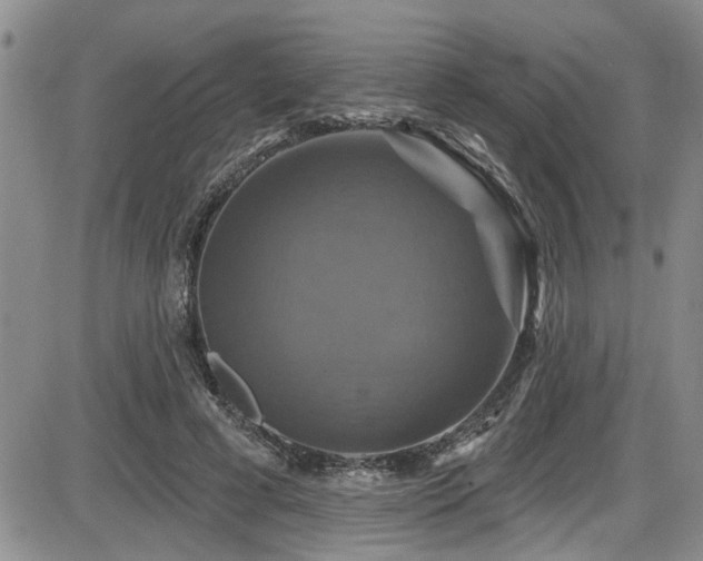 X0000086220593200703291214
