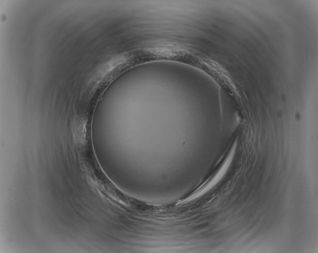 X0000086220596200703291214