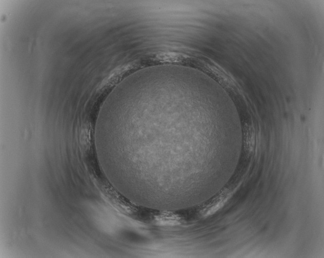 X0000086220603200703291214