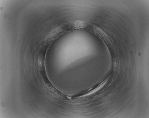 X0000086220608200703291213