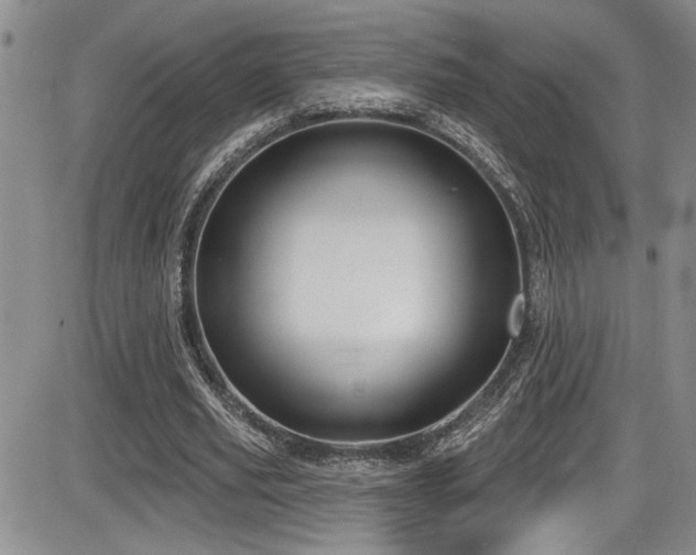 X0000086220629200703291212