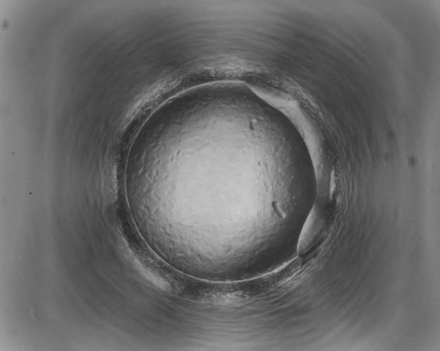 X0000086220638200703291213