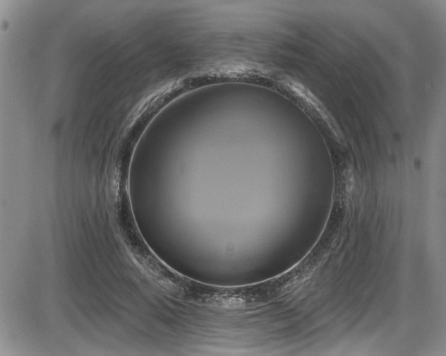 X0000086220640200703291213