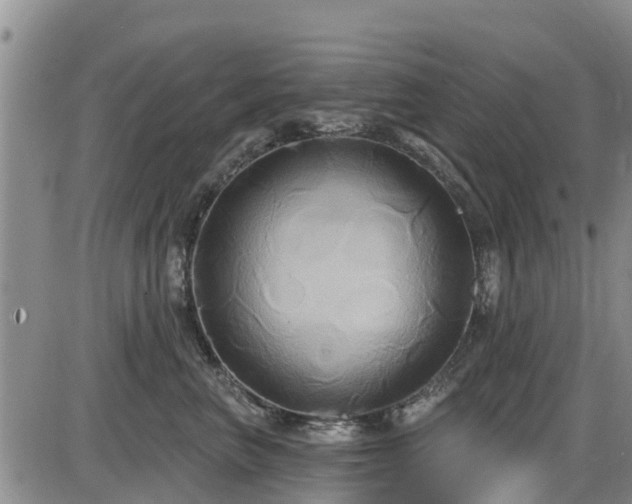 X0000086220667200703291213