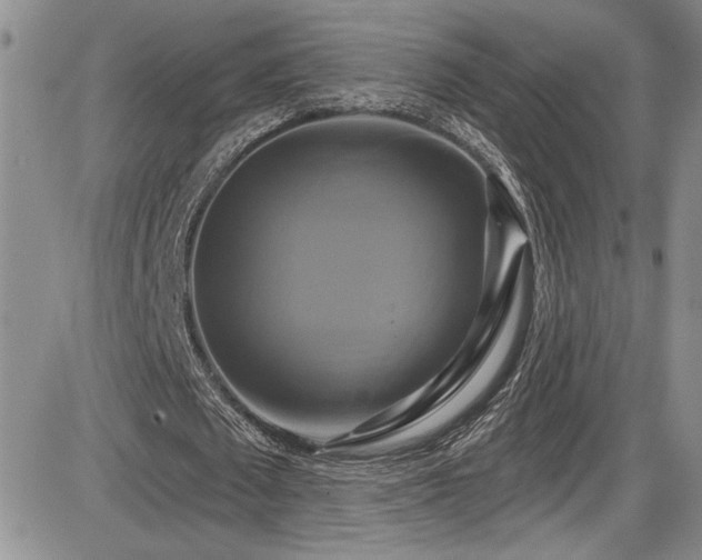 X0000086220673200703291212