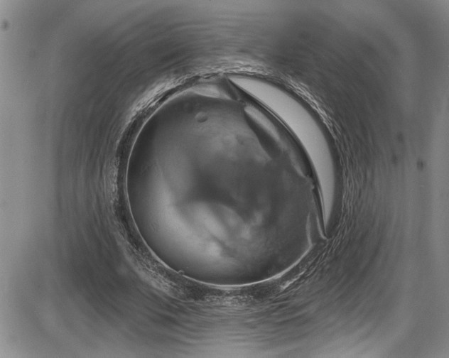 X0000086220679200703291212
