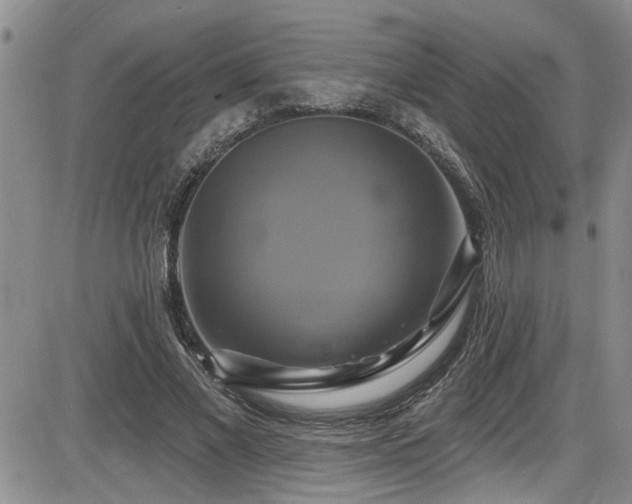 X0000086220685200703291212