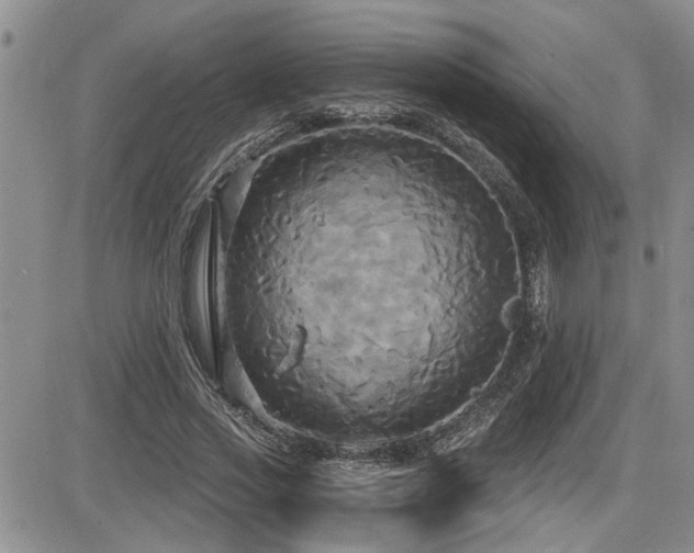X0000086220733200703291211
