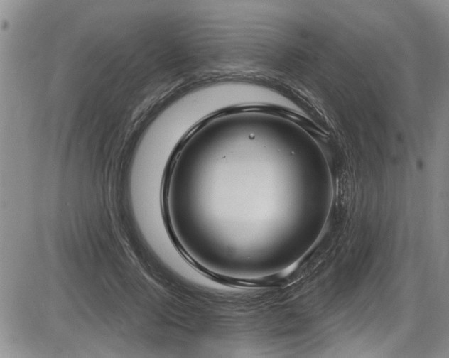 X0000086220740200703291211
