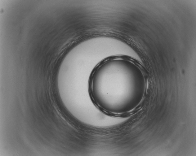 X0000086220744200703291211
