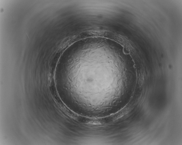 X0000086220749200703291211