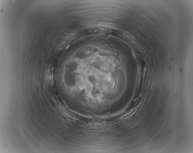 X0000086220771200703291211