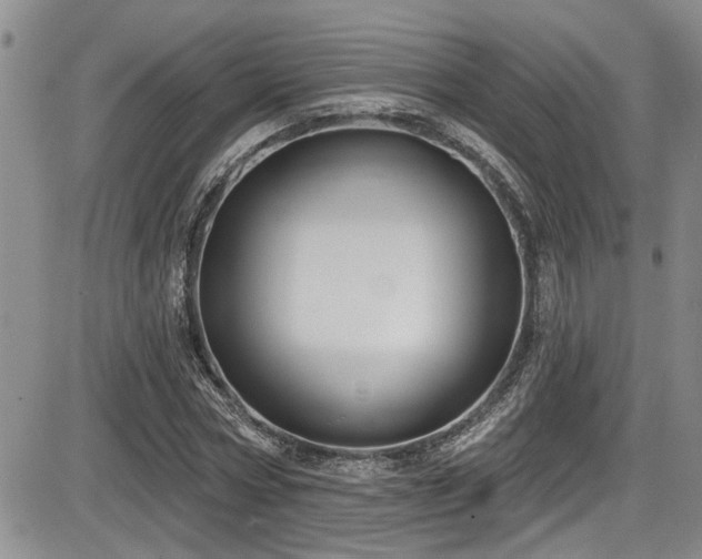 X0000086220778200703291211