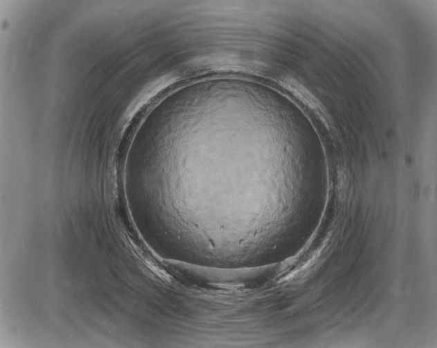 X0000086220782200703291210
