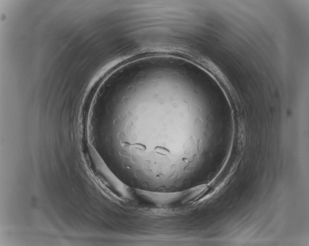 X0000086220787200703291210