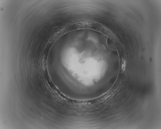 X0000086220819200703291209
