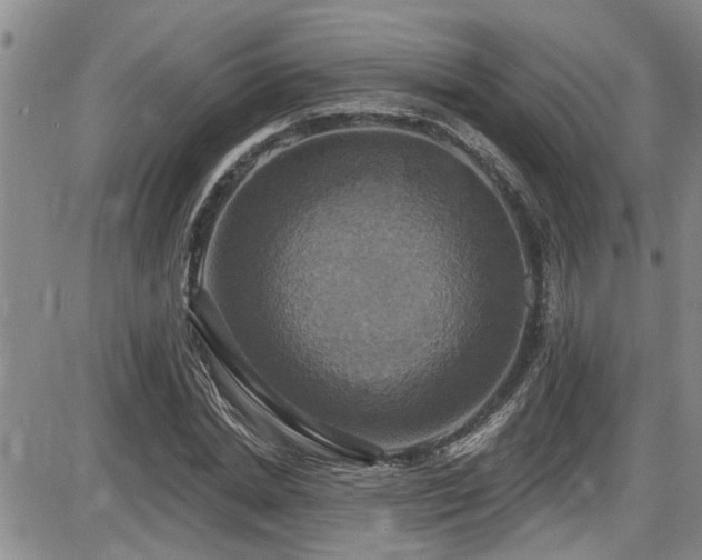 X0000086220830200703291209