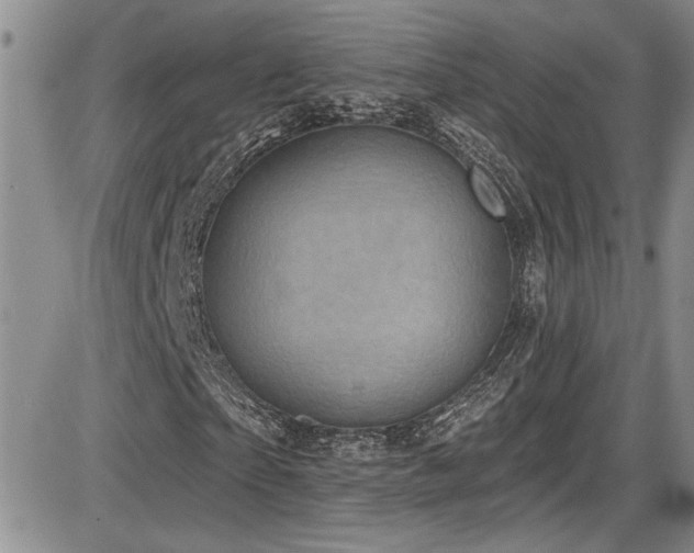X0000086220865200703291209