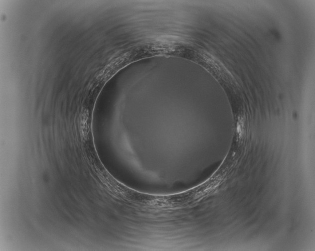 X0000086220867200703291209