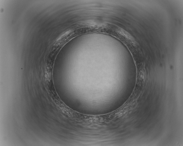 X0000086220869200703291209