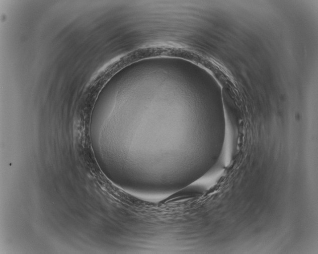 X0000086220872200703291209