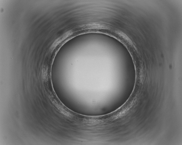 X0000086220873200703291209