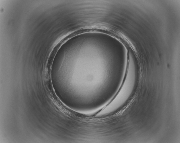 X0000086220876200703291209