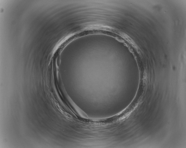 X0000086220877200703291209