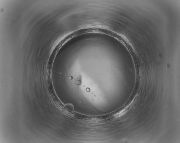 X0000086220879200703291209