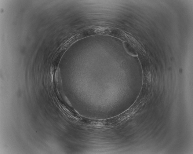 X0000086220914200703291208