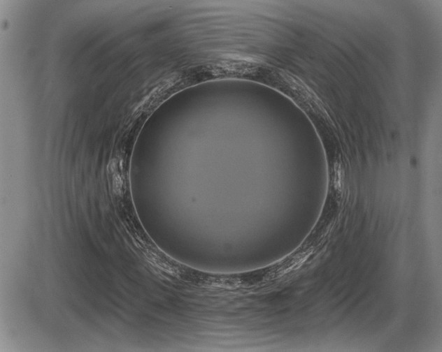 X0000086220915200703291208