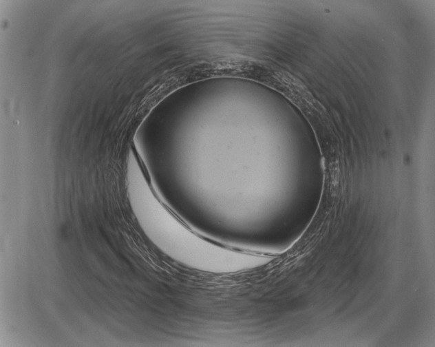 X0000086220916200703291208