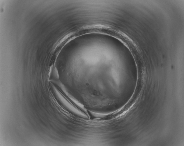 X0000086220921200703291208