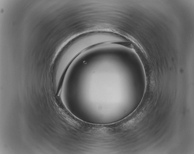 X0000086220926200703291208