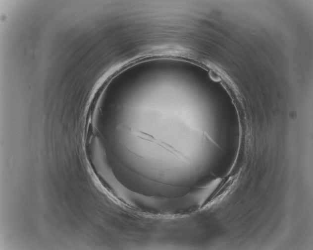 X0000086220941200703291208