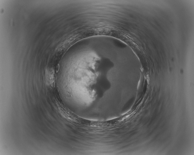 X0000086220963200703291207