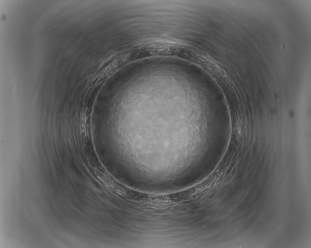 X0000086220964200703291207
